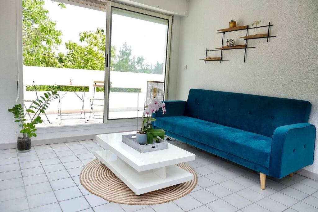 T2 Cocooning, Hospitaux Facultes Terrasse, Parking Prive