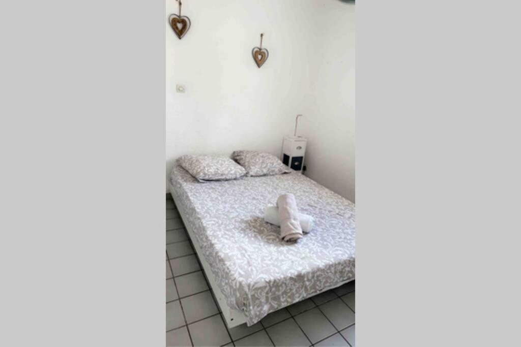 T2 Cocooning, Hospitaux Facultes Terrasse, Parking Prive Montpellier