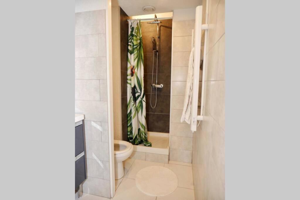 Apartment T2 Cocooning, Hospitaux Facultes Terrasse, Parking Prive