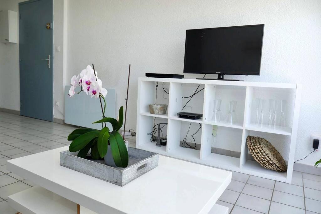 T2 Cocooning, Hospitaux Facultes Terrasse, Parking Prive *